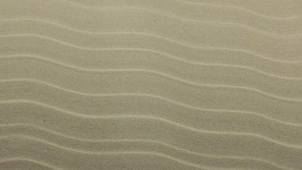 Zooma in. Bakgrund och textur av sanddyner. Kranskott. — Stockvideo