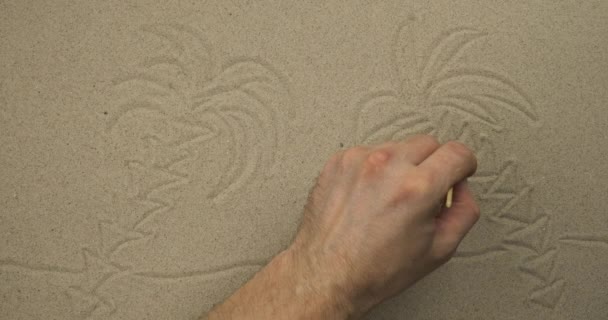 Zeichnen mit dem Stock im Sand. Palmen und eine Hängematte am Strand vor dem Hintergrund von Vögeln und Sonne. — Stockvideo