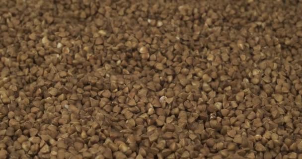 Close-up, fundo ondulado de grãos de trigo mourisco. Espaço de cópia . — Vídeo de Stock