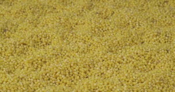 Close-up, wavy background of millet grains. Copy space. — Stock Video