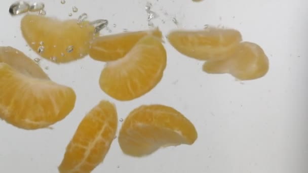 Медленное движение. Свежие лобулы мандарин падает в воду с брызгами и пузырьками на белом фоне . — стоковое видео