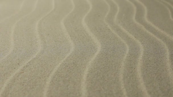 Sfondo e consistenza delle dune di sabbia. Zoom. Con spazio per il design — Video Stock