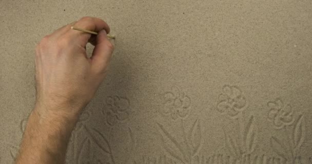 Малюнок палицею на піску. Багато квітучих ромашкових квітів на тлі сонця і птахів. Символічний малюнок туризму та дозвілля . — стокове відео