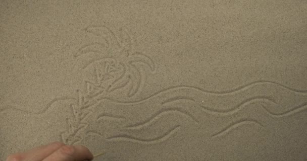 用棍子在沙滩上画画。海、鸟和太阳波涛背景下的棕榈树. — 图库视频影像