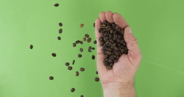 Granjero en la palma tiene granos de café. La pila de los granos de la mano caen sobre el fondo verde . — Vídeo de stock