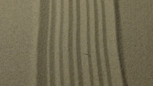 Panorama. Gerade, glatte Linien aus Sand. Kopierraum. — Stockvideo