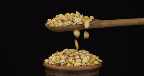 Grãos de milho dormem o suficiente de uma colher de madeira em uma pilha de sementes em uma tigela de argila . — Vídeo de Stock