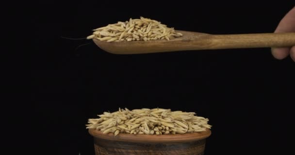 Οι σπόροι βρώμης κοιμούνται αρκετά από μια ξύλινη κουτάλα σε ένα σωρό σπόρων σε ένα πήλινο μπολ.. — Αρχείο Βίντεο
