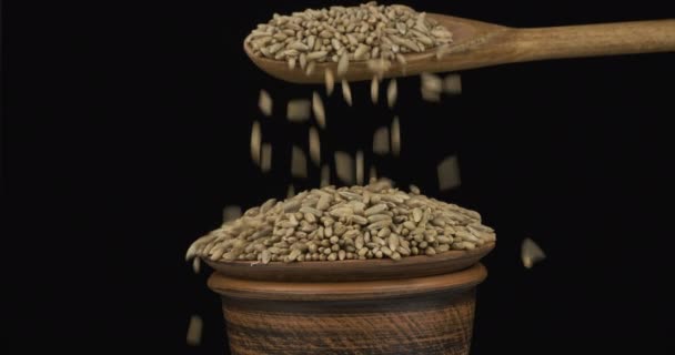 Los granos de centeno duermen lo suficiente con una cuchara de madera sobre una pila de semillas en un tazón de barro . — Vídeo de stock