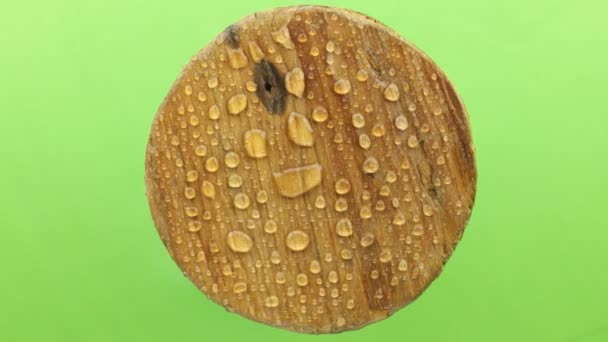 Rotação de uma prancha redonda com gotas de água. Isolados — Vídeo de Stock