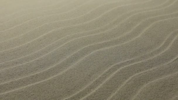 Movement along the sand dunes. Slider shot. — Stock Video