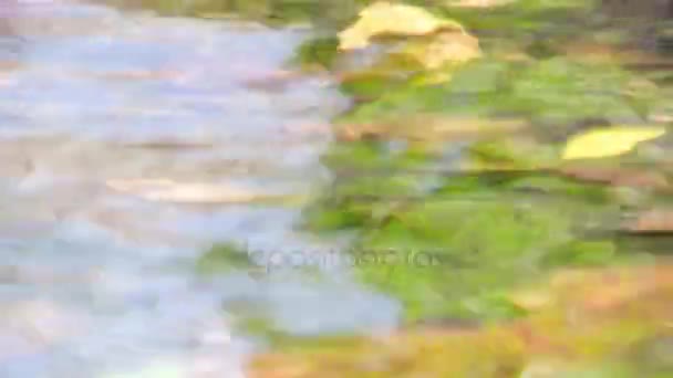 Volledige frame shot van water — Stockvideo