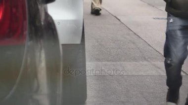 yakın çekim düşük bölümü at