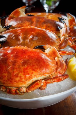 mutfağı ateş et aydınlatma kullanılan