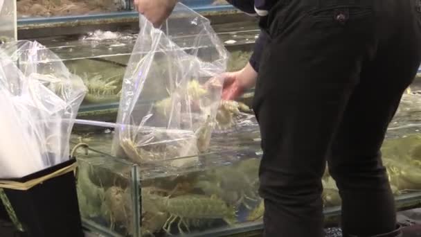 Ce ia un clip vidéo du marché des fruits de mer — Video