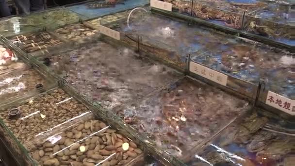 Das ist ein Videoclip vom Fischmarkt — Stockvideo