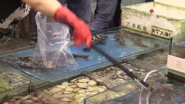 Das ist ein Videoclip vom Fischmarkt — Stockvideo