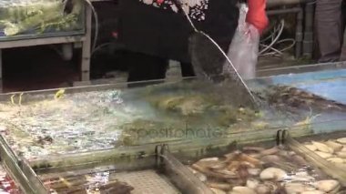 Bu IA deniz ürünleri pazarının video klip