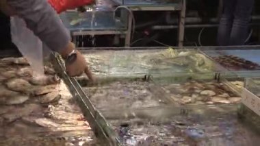 Bu IA deniz ürünleri pazarının video klip