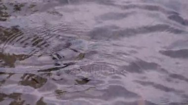 Bu IA Nehri'nin video klip