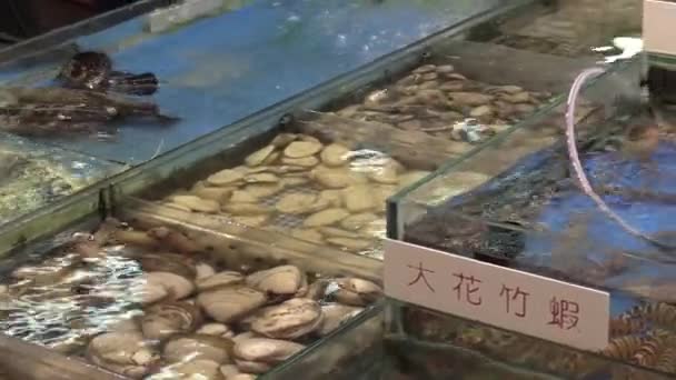 This ia a video clip of seafood market — Stock Video