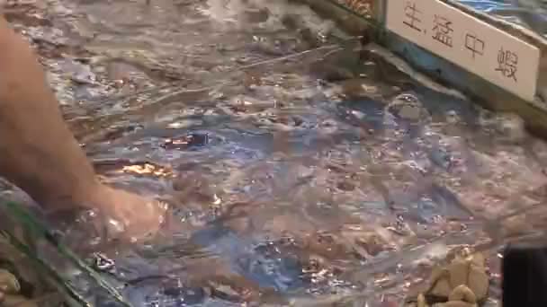 Este es un video clip del mercado de mariscos — Vídeo de stock