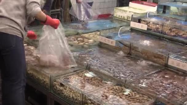 Este ia um videoclipe do mercado de frutos do mar — Vídeo de Stock