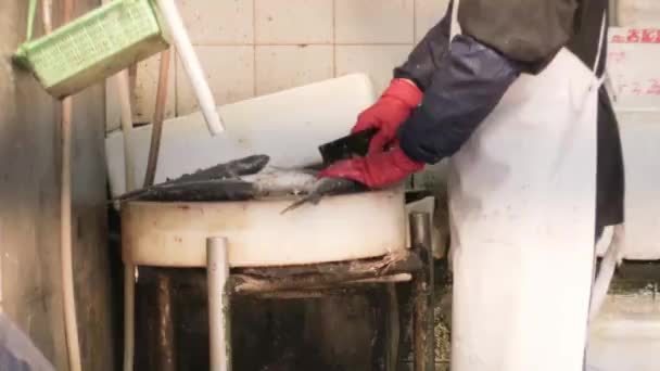 Este es un video clip del mercado de mariscos — Vídeo de stock