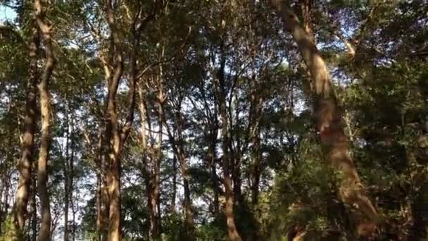 Ce ia un clip vidéo de randonnée 