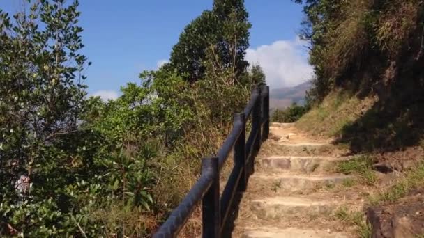 Este ia um vídeo clipe de caminhadas — Vídeo de Stock