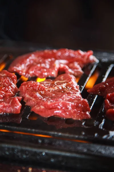 Uma cozinha atirar carne usada iluminação — Fotografia de Stock
