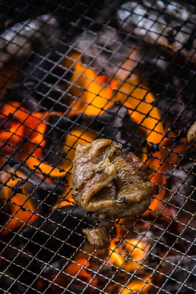 Una sesión de cocina utiliza la iluminación de carne — Foto de Stock