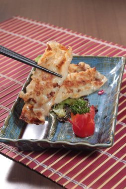 closeup of chinese dumplings 