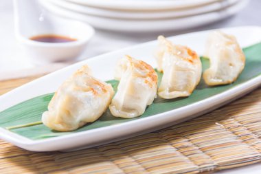 closeup of chinese dumplings 