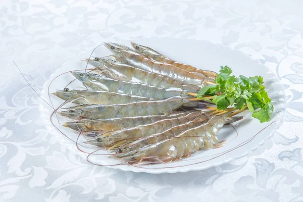 Fresh Shrimps Parsley Plate — Stock Photo, Image
