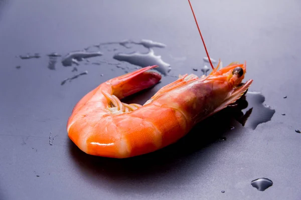 Tasty Fresh Shrimp Black Background — Foto Stock