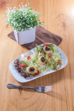 Tavuk ve sebzeli salata.