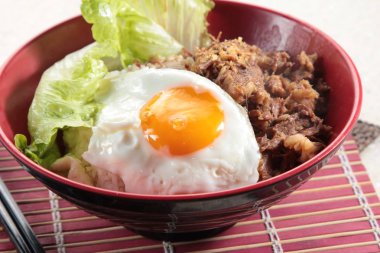 a cuisine photo of rice, fried egg with meat 