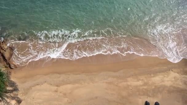 Sahilde Kanat Çırparken Yüksek Irtifadan Dalgalar Vuruyor — Stok video