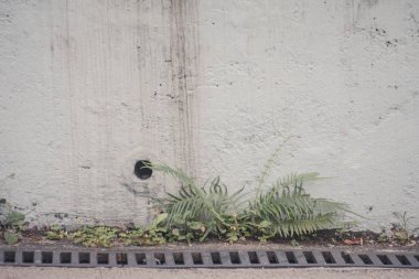 bir taş doku arka plan