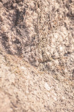 bir taş doku arka plan