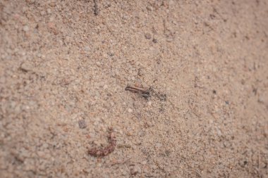 bir taş doku arka plan