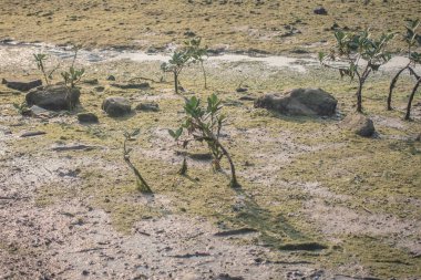 bir taş doku arka plan