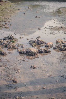 bir taş doku arka plan