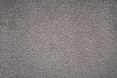 bir taş doku arka plan