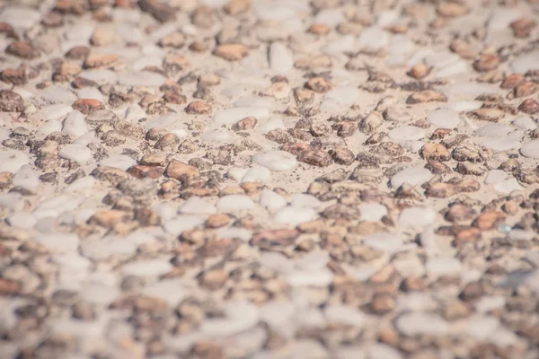 bir taş doku arka plan
