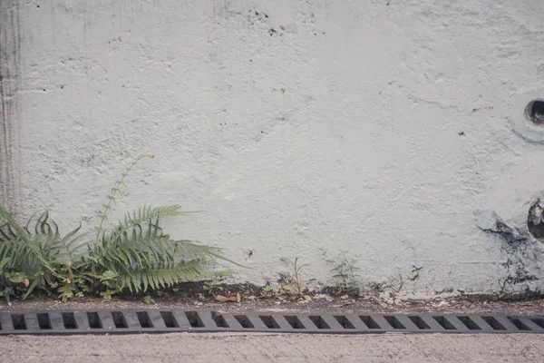 bir taş doku arka plan