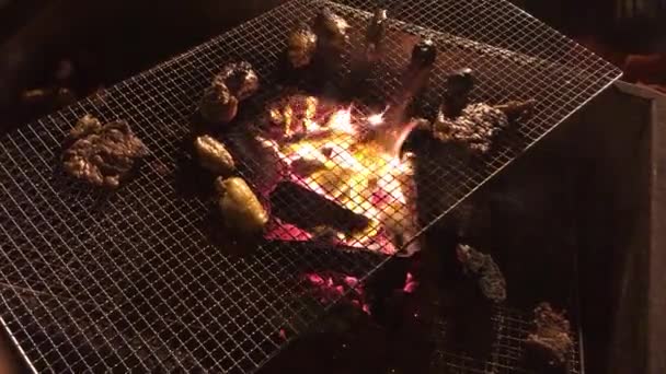 Griller Diverses Viandes Sur Filet Grillé Avec Gril Charbon Bois — Video