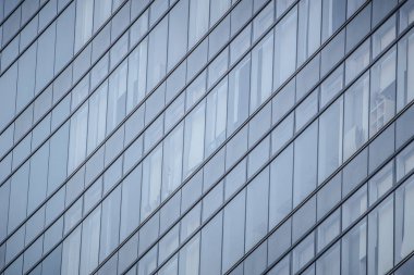 Hong Kong 'un yoğun kentsel ve mimari manzarası