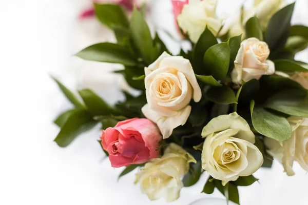 Fresh bright blooming roses flowers with dew drops on petals. white and pink bud — Stock Photo, Image